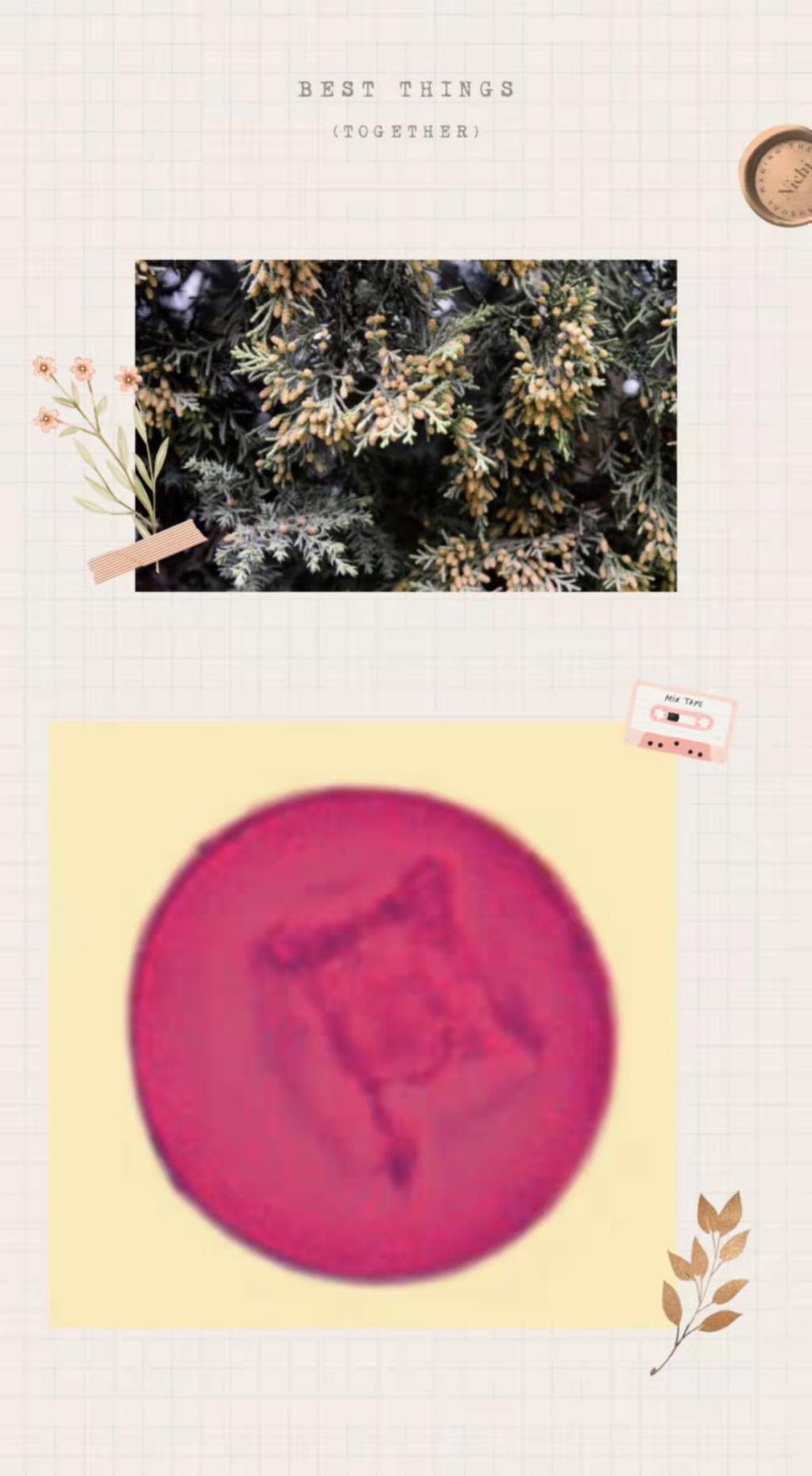undefined undefined