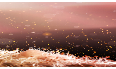 undefined undefined